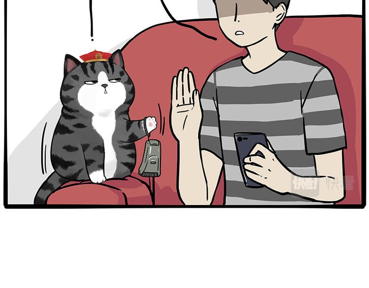 第282话 型男（猫）31