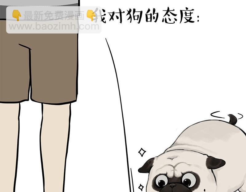 第394话 养狗指南30