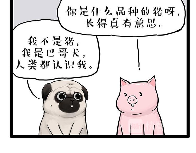第247话 巴扎猪24