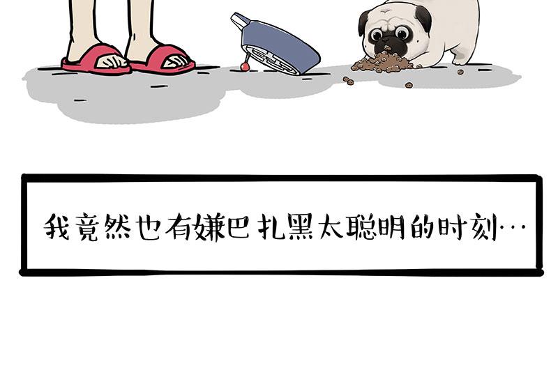 第341话 傻狗逆袭20