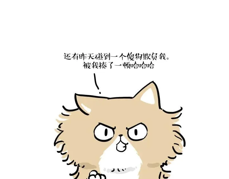第424话 话痨小猫34
