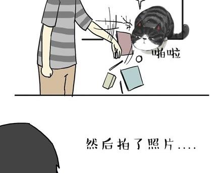 第18话 思考喵生的猫29