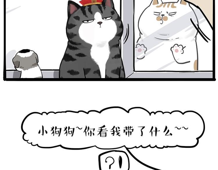第269话 跟我回家吧63