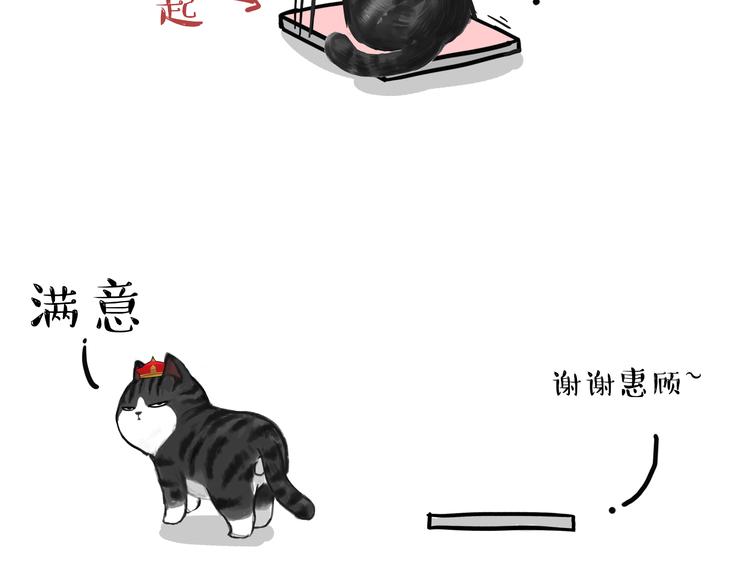 第74话 猫主子送的也敢扔11
