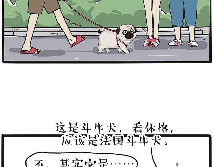 第233话 你太飘了38