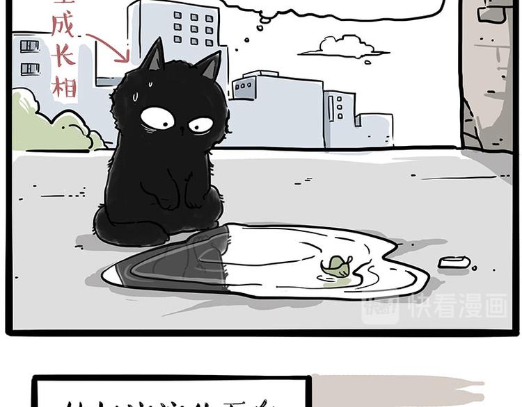 第213话 脱线穿越(上)17