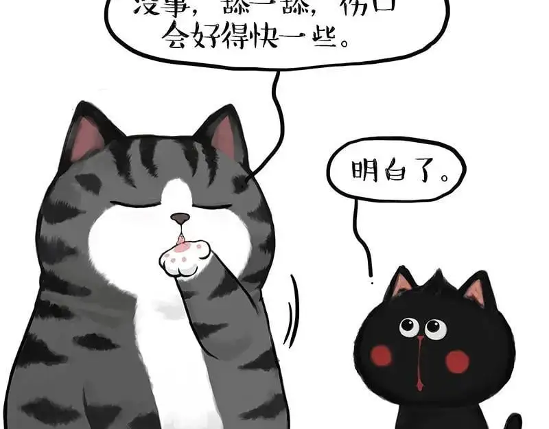 第405话 猫好狗好，人坏29