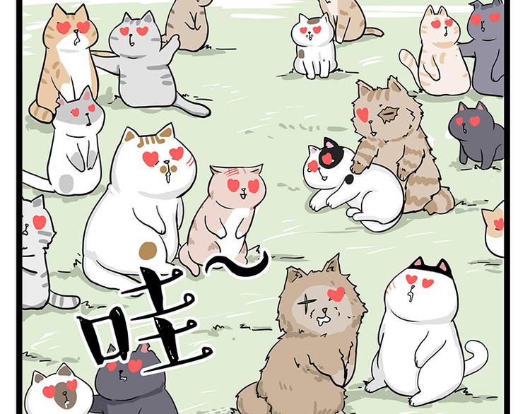 第284话 美喵竟是我自己44