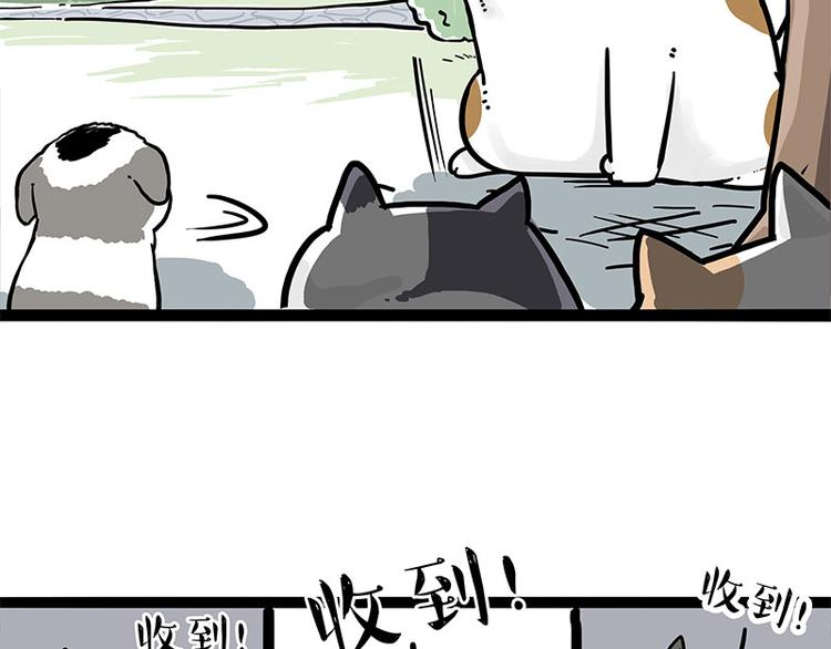 第271话 进击的流浪猫！13