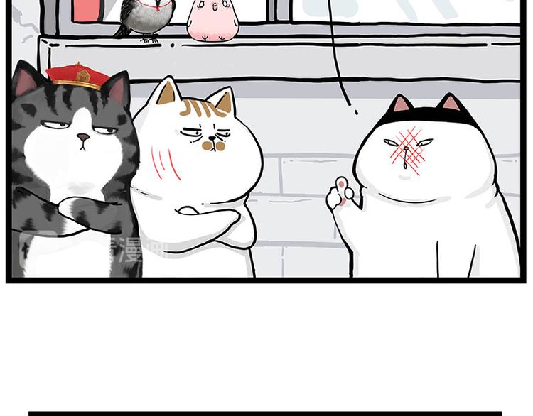 第277话 猫斗猫32
