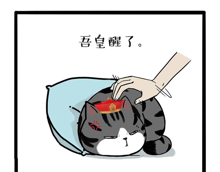 第172话 少年大改造？24