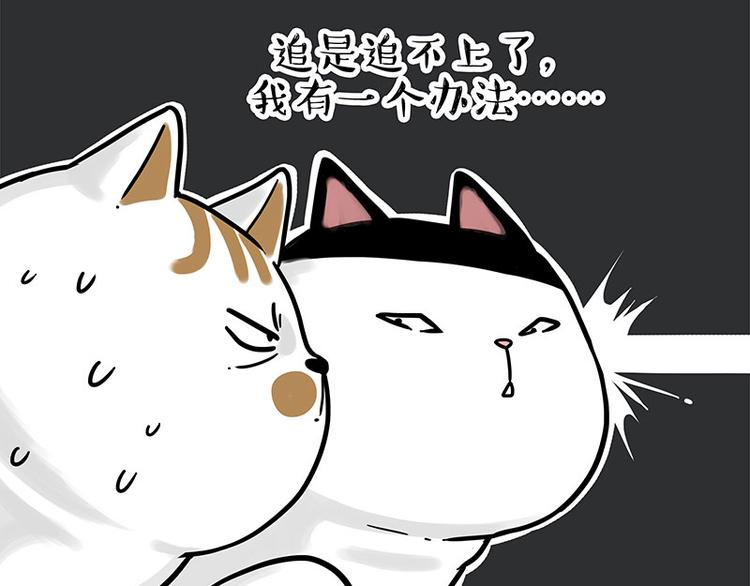 第271话 进击的流浪猫！48