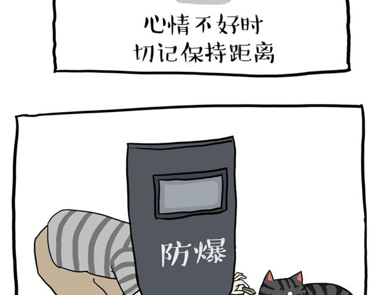 第37话 今天，你优雅了吗15