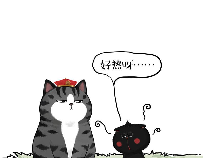 第346话 温柔都给你21