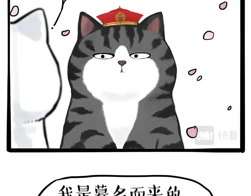 第323话 春日恋情？！29