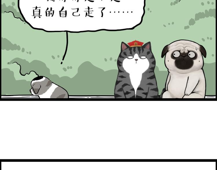 第267话 不让你流浪78