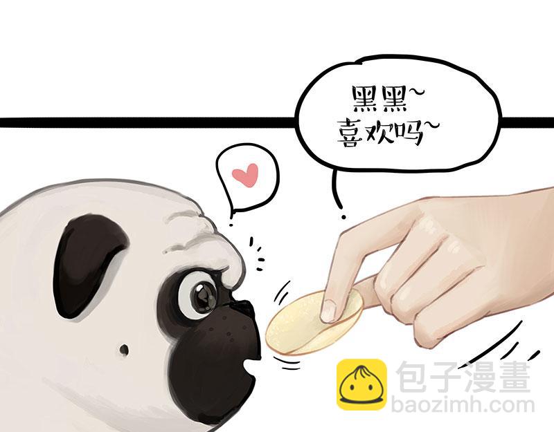 第372话 莫与狗比狗7