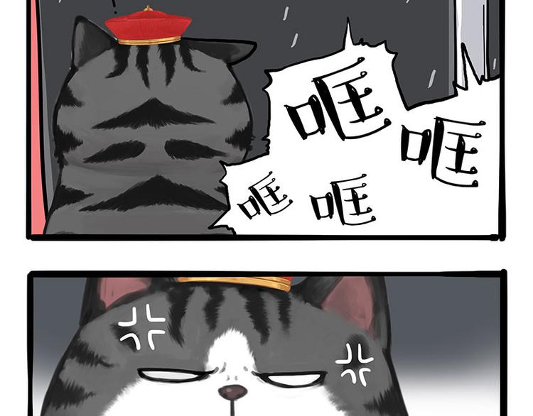 第265话 雨夜“惊魂”14