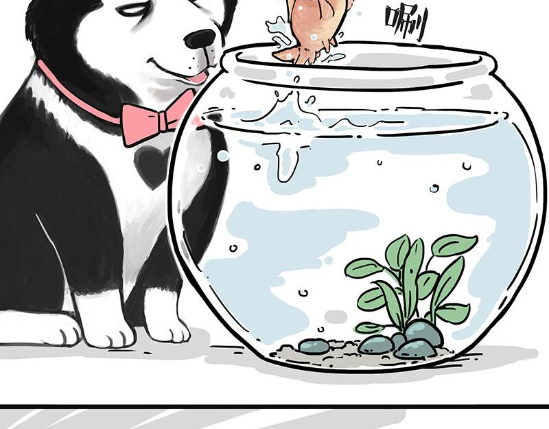 第313话 打工真谛17