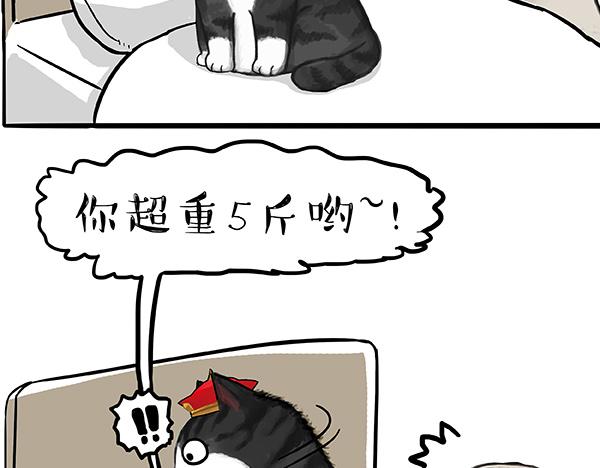 第73话 你才是肥仔嘞15