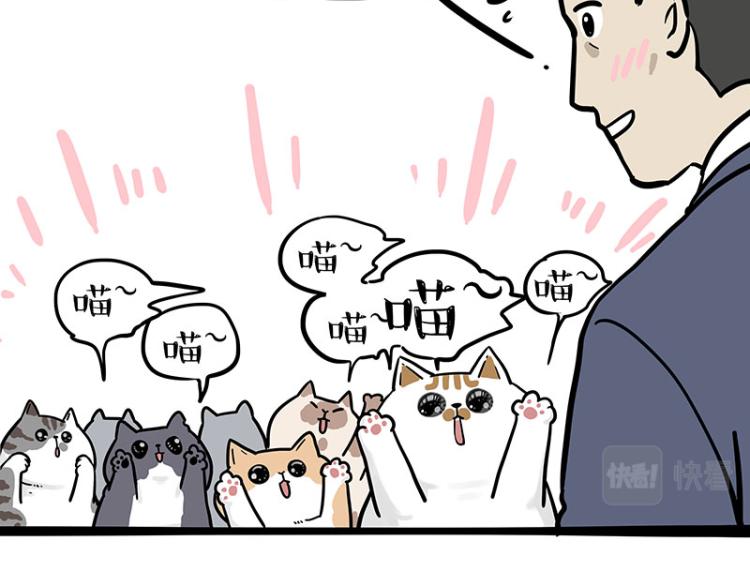 第290话 凶恶猫猫组织6