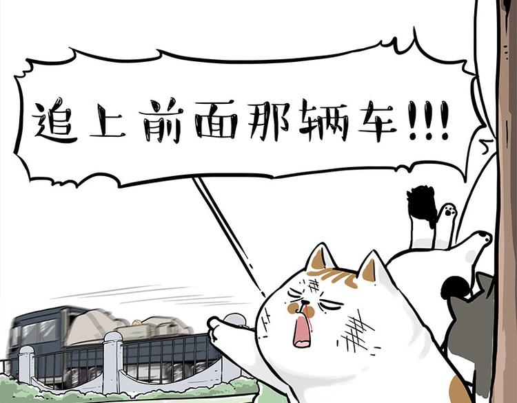 第271话 进击的流浪猫！12