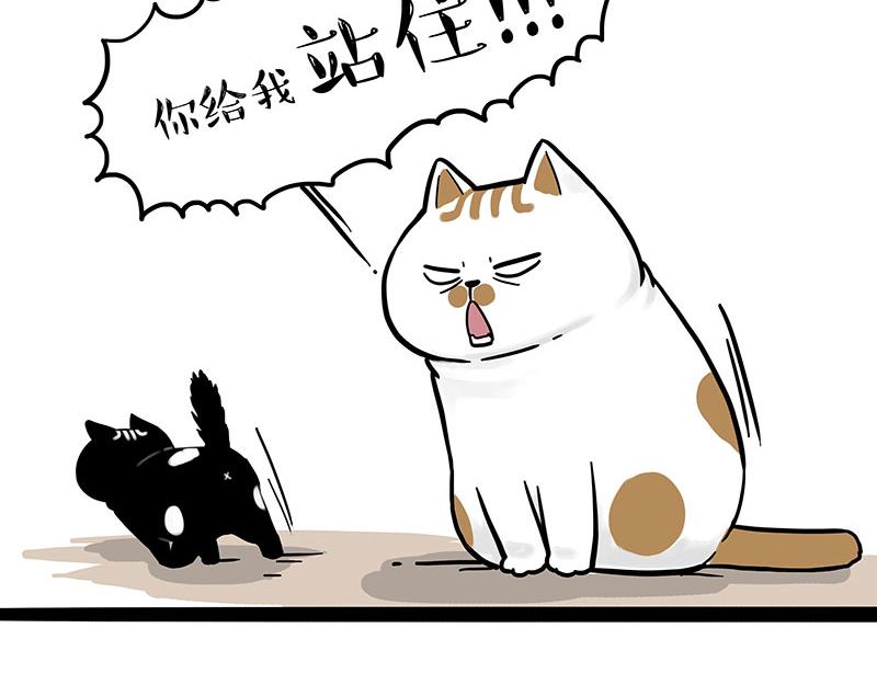 第303话 你有“熏”吗？56