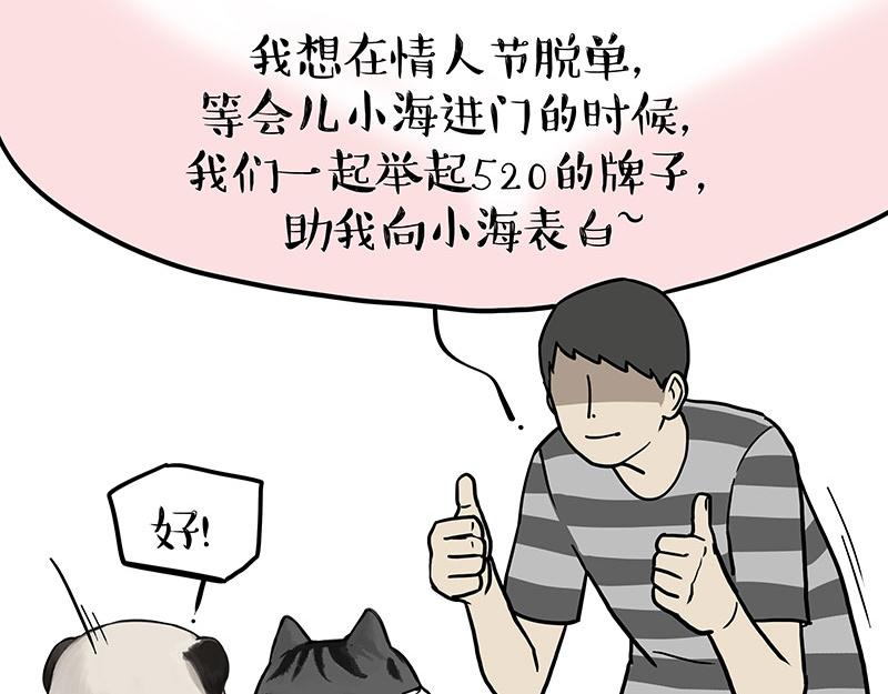 第366话 情人节，略过1