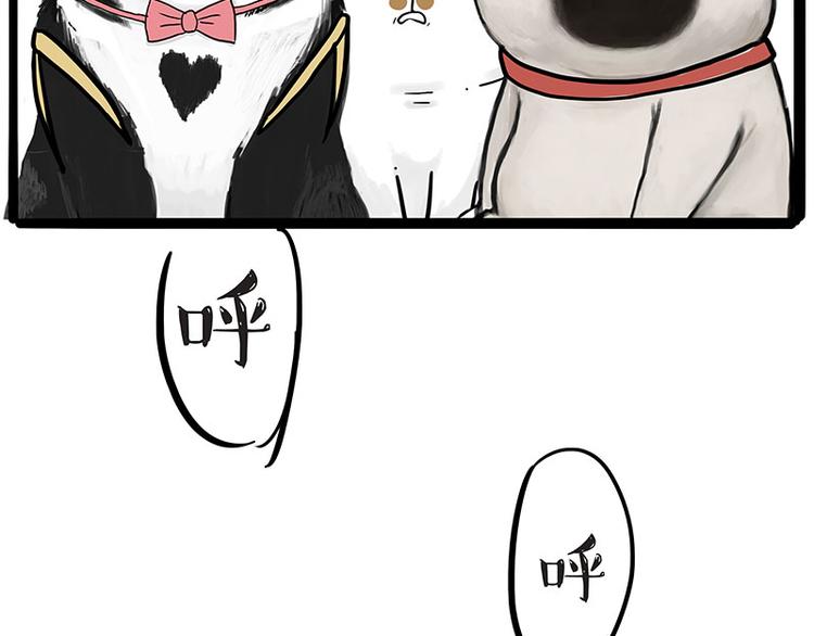 第223话 狗知识增加了33