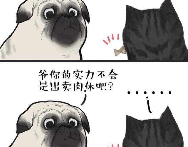 第13话 不想理这个恋脚癖11
