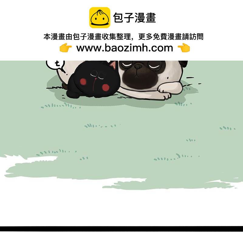 第370话 你就宠它吧1