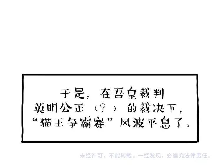 第167话 猫王争霸赛57