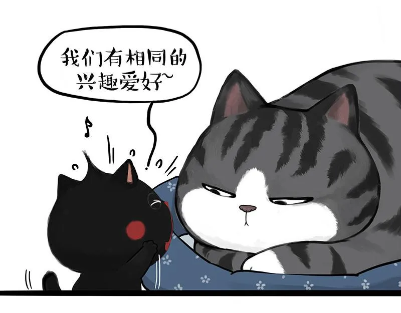 第377话 谢谢小猫咪25