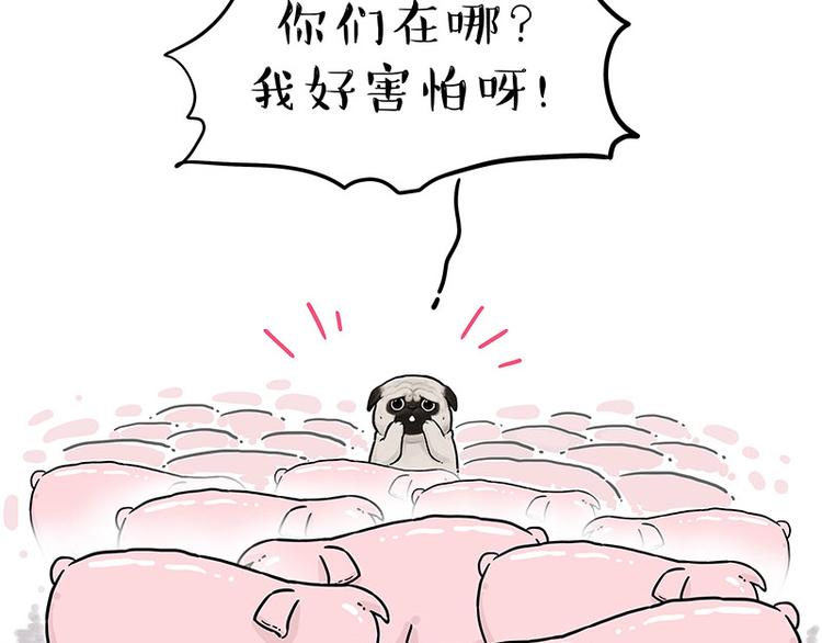 第247话 巴扎猪16