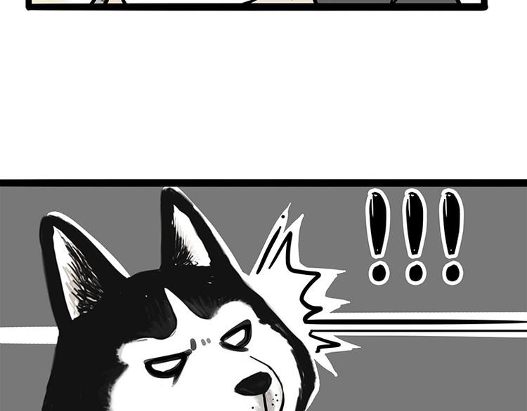 第253话 与狗争饭46
