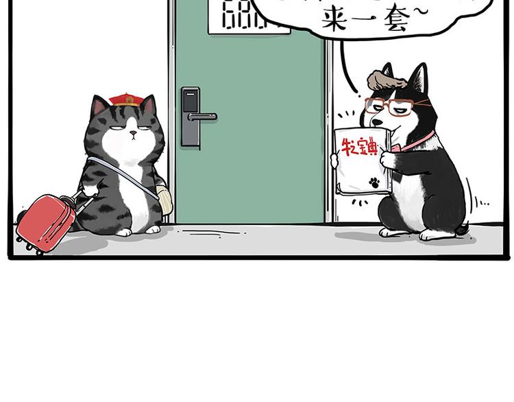 第231话 防骗指南23