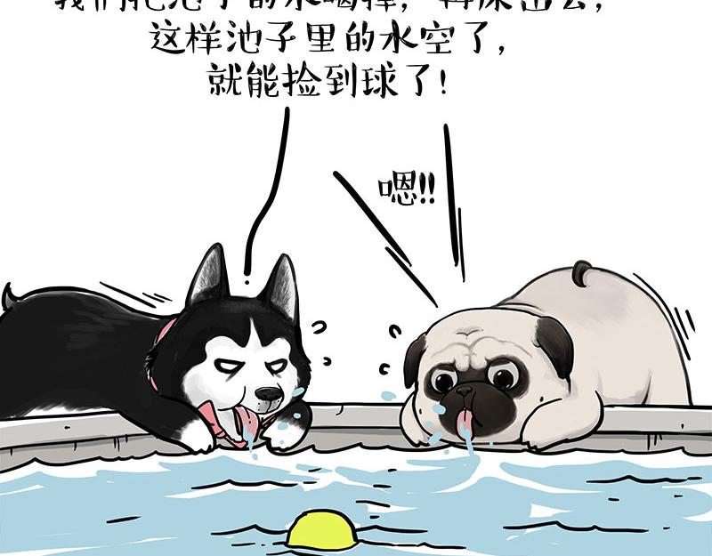 第337话 下辈子报仇20