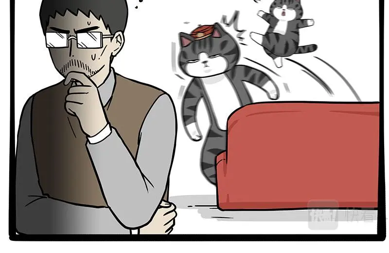 第325话 你不守猫德32