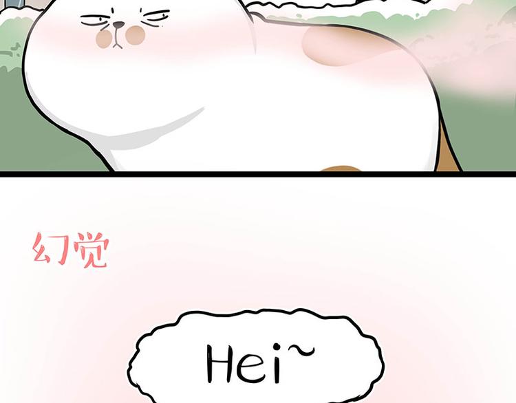 第284话 美喵竟是我自己12