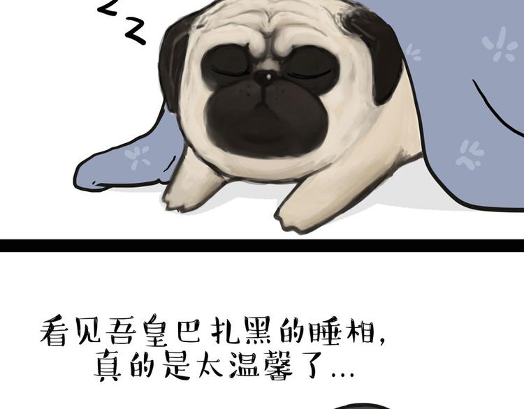 第44话 日常坑狗，却猫前屈膝14