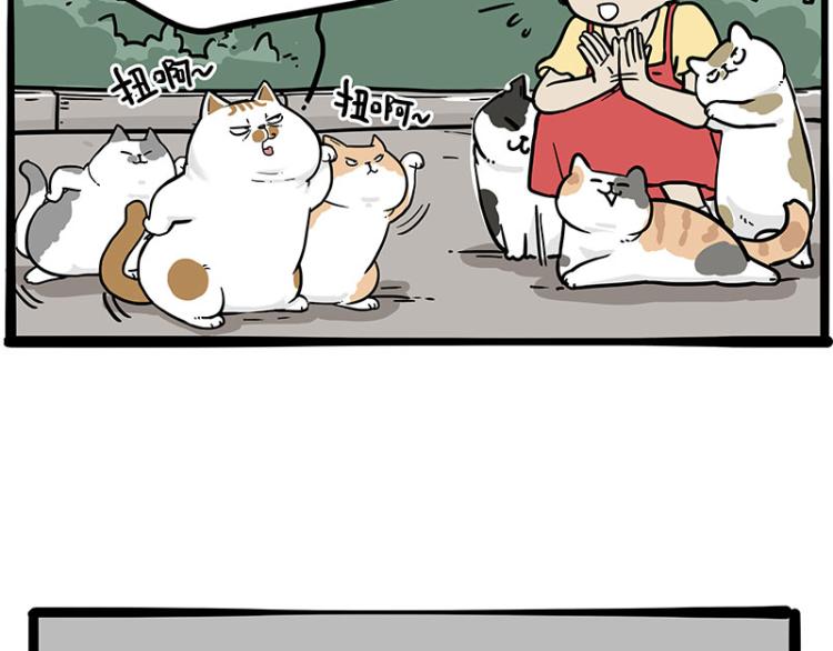 第290话 凶恶猫猫组织20