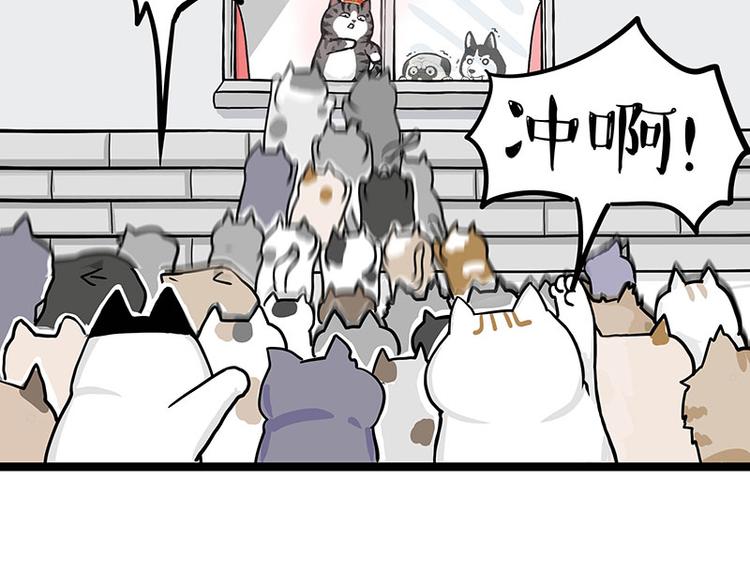 第284话 美喵竟是我自己46