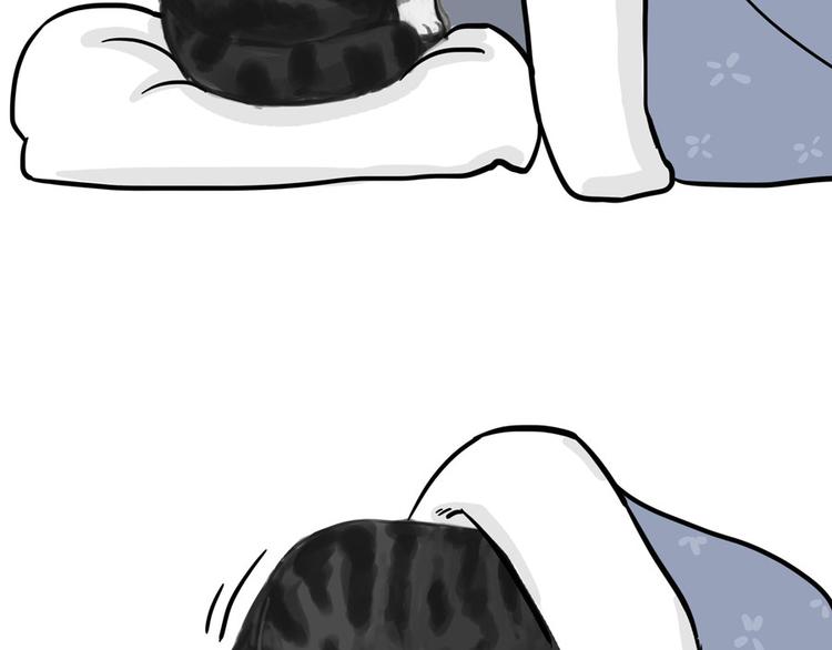 第44话 日常坑狗，却猫前屈膝8