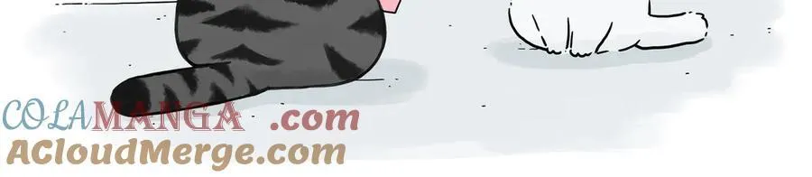 第422话 永远号15