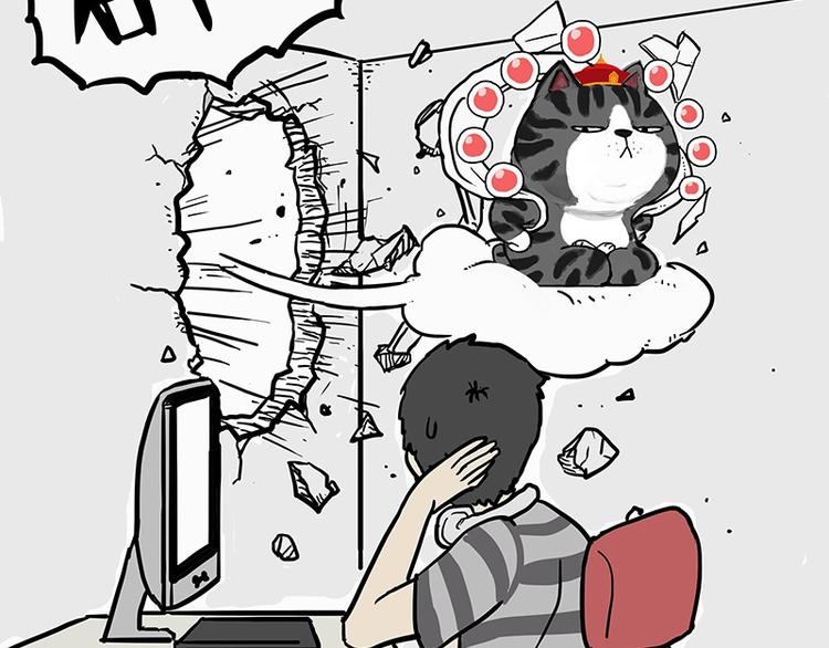第205话 一切都是猫的安排4