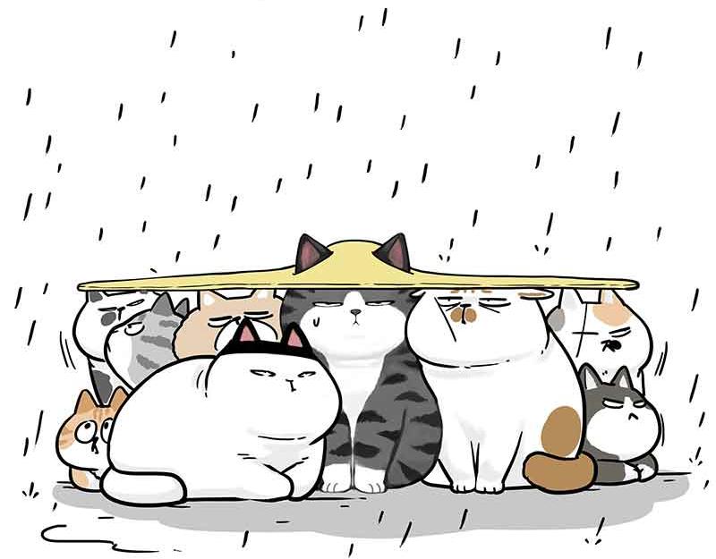 第359话 猫洛芬11