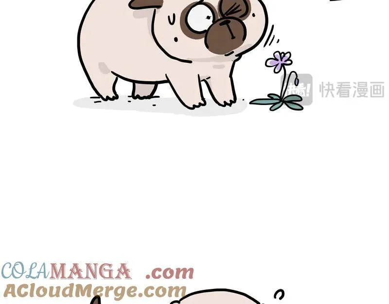 第417话 帅哥你谁30