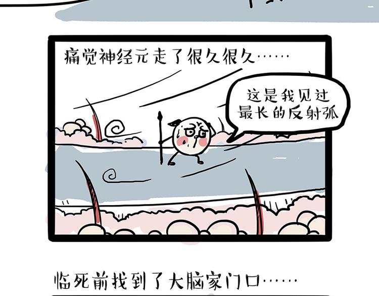 第129话 反射弧24