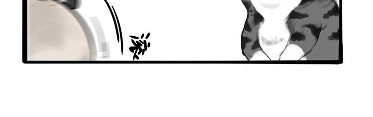 第197话 猫怼狗15