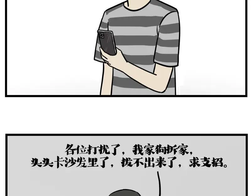 第423话 卡沙不拦卡3